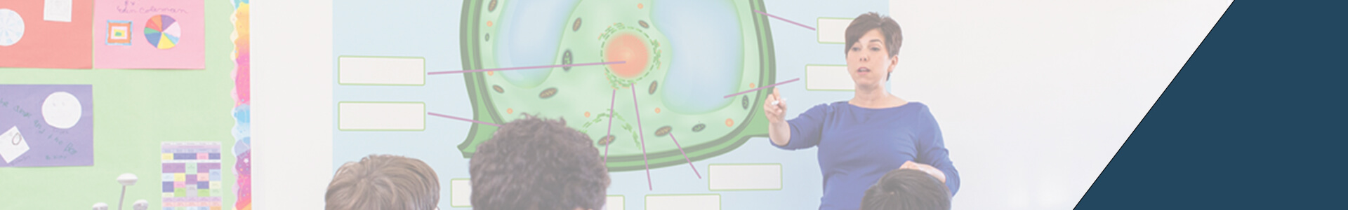 Boxlight® | Edubytes